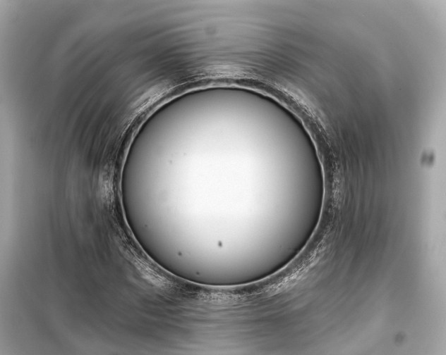 X0000099420873200805161043