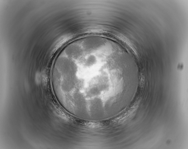 X0000099420874200805161043
