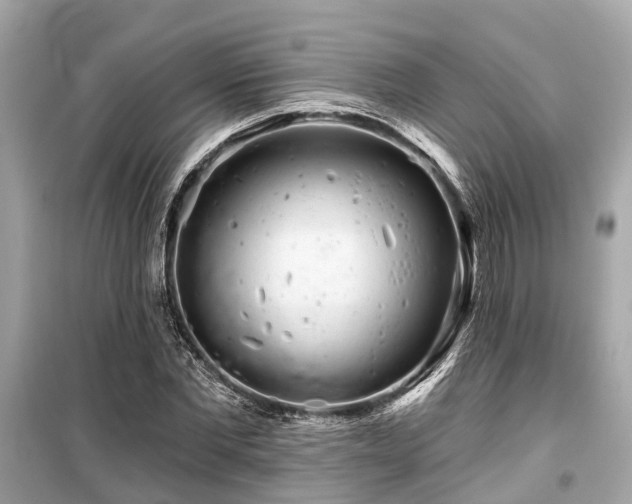 X0000099420877200805161043