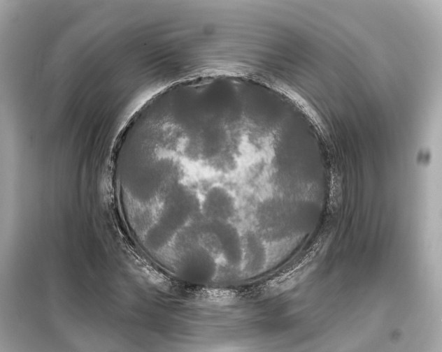 X0000099420878200805161043