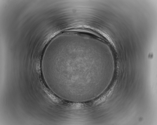 X0000099420881200805161043