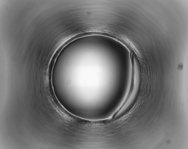 X0000099420884200805161043