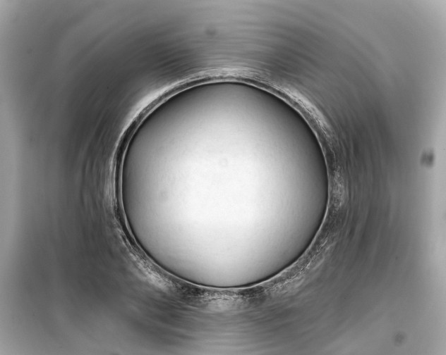 X0000099420886200805161043