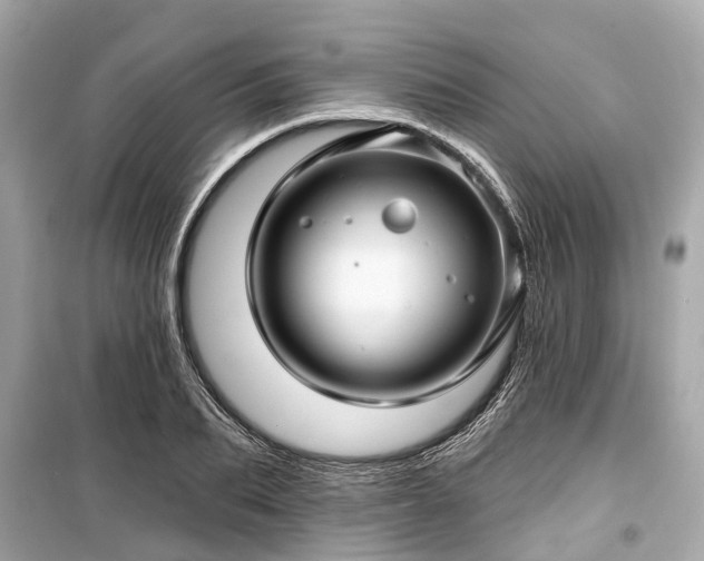 X0000099420887200805161043