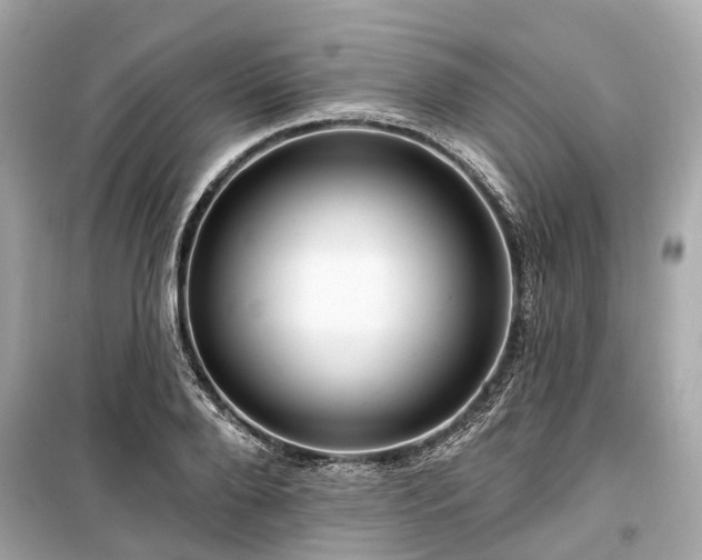 X0000099420888200805161043