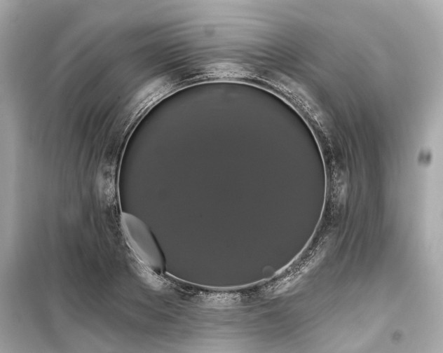 X0000099420889200805161043