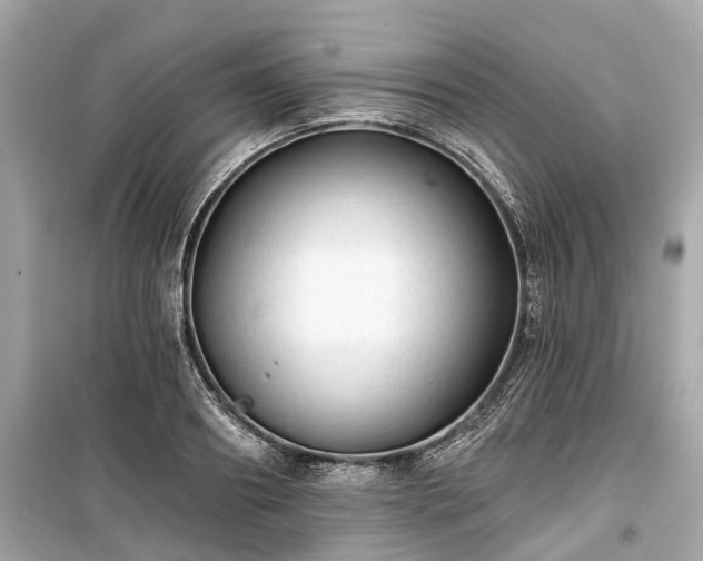 X0000099420890200805161043