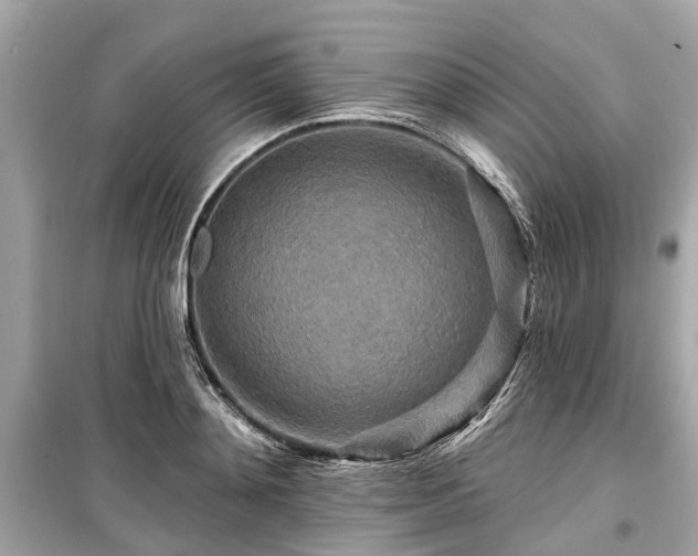 X0000099420892200805161043