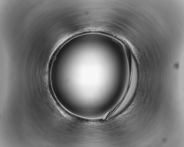 X0000099420894200805161043