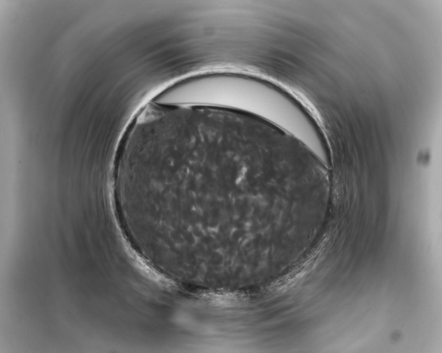 X0000099420895200805161043