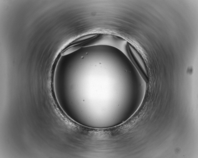 X0000099420896200805161043