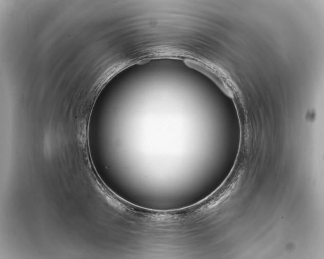 X0000099420897200805161043