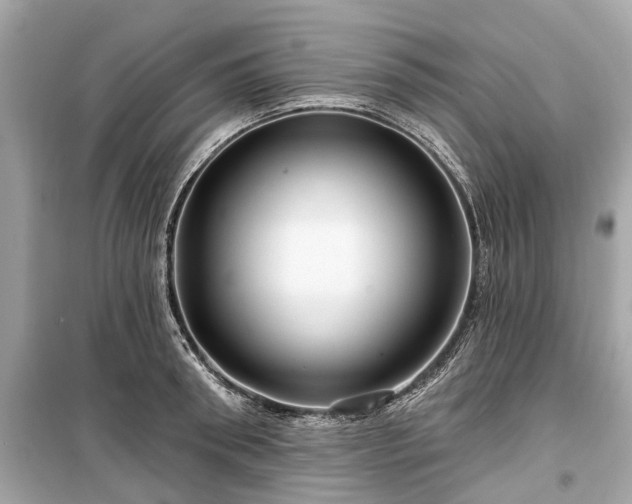 X0000099420898200805161043