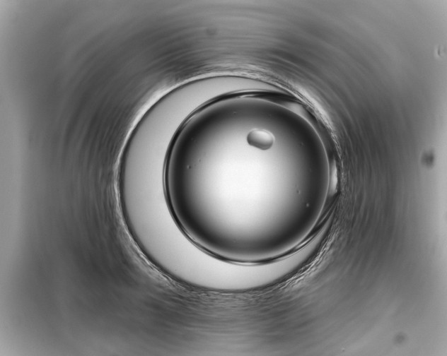 X0000099420899200805161043