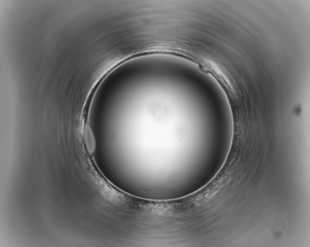 X0000099420900200805161043
