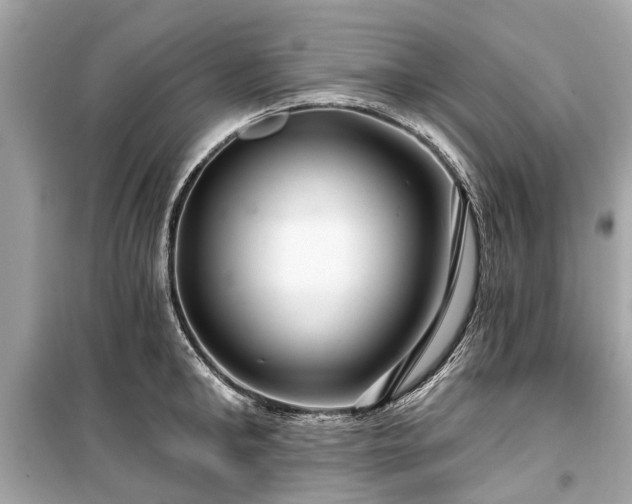X0000099420902200805161043