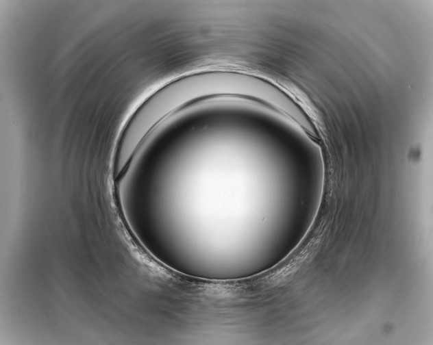 X0000099420904200805161043