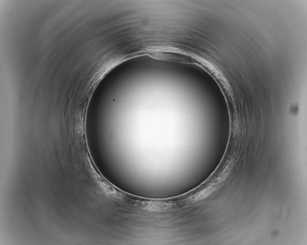 X0000099420905200805161043