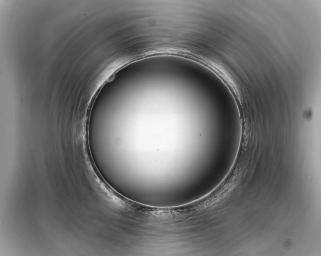 X0000099420906200805161043