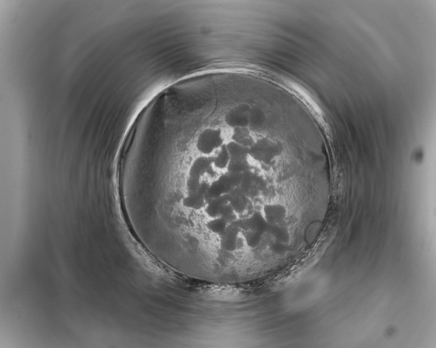 X0000099420907200805161043