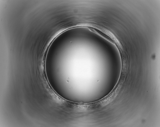 X0000099420908200805161043