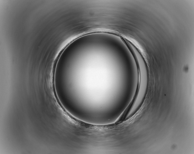 X0000099420910200805161043