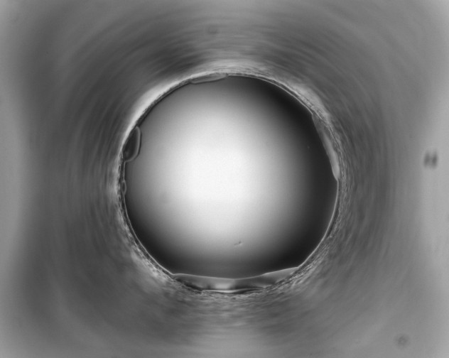 X0000099420912200805161043