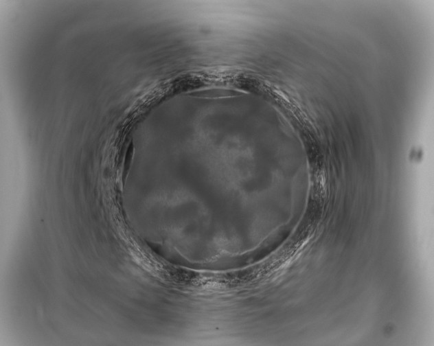 X0000099420913200805161042