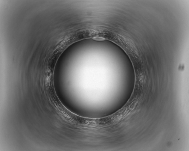 X0000099420914200805161042