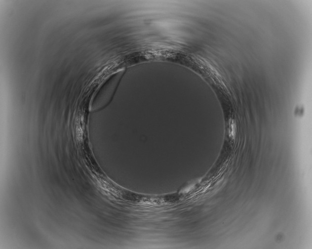 X0000099420915200805161042