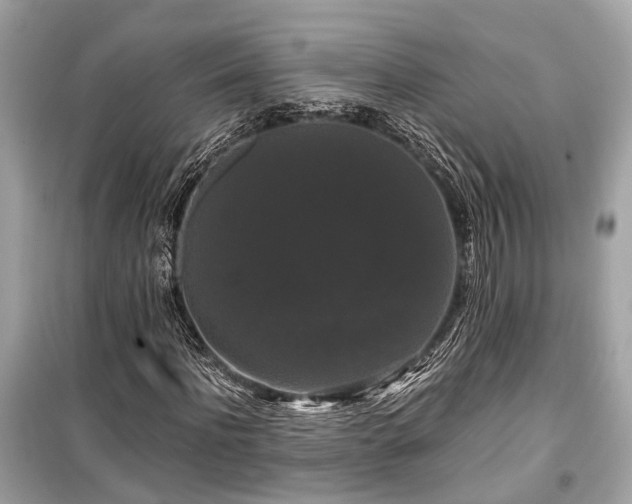 X0000099420916200805161042