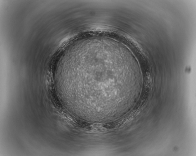 X0000099420918200805161042