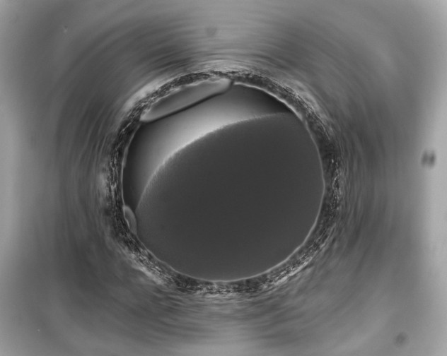 X0000099420920200805161042