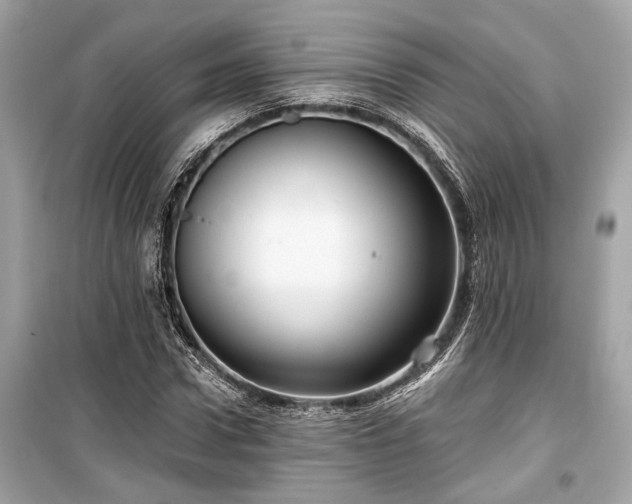 X0000099420922200805161042
