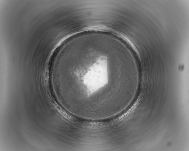 X0000099420923200805161042