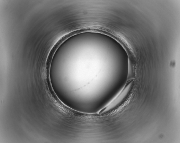 X0000099420924200805161042