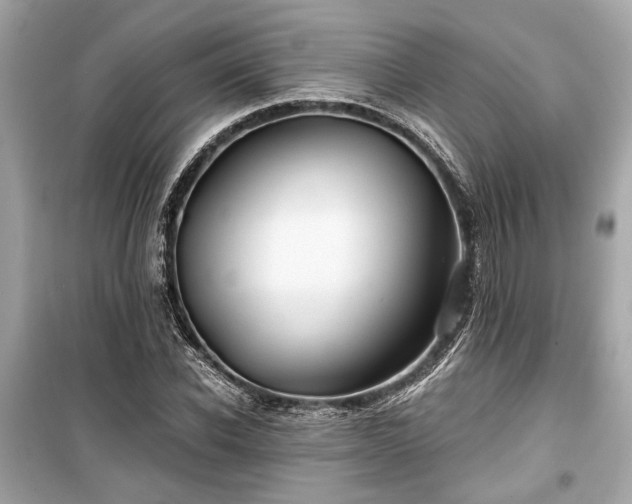 X0000099420926200805161042