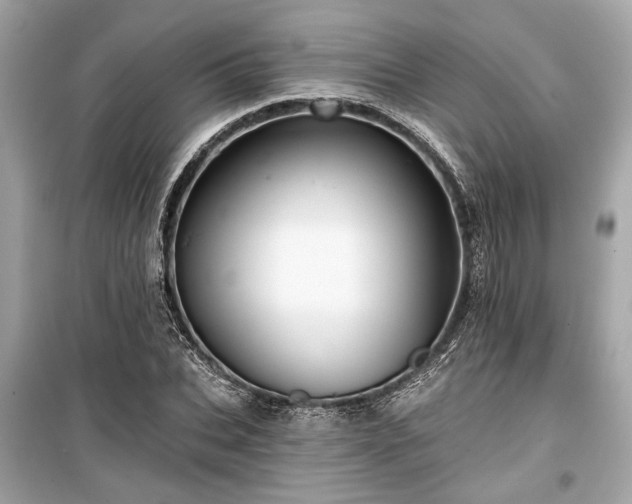 X0000099420927200805161042
