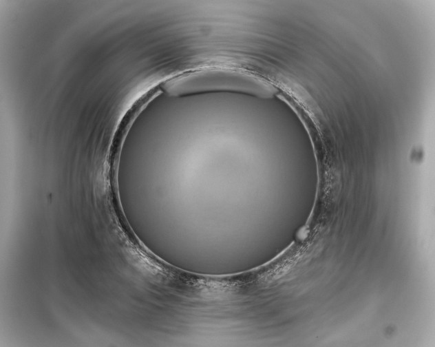 X0000099420928200805161042