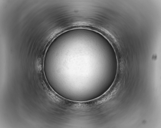 X0000099420929200805161042