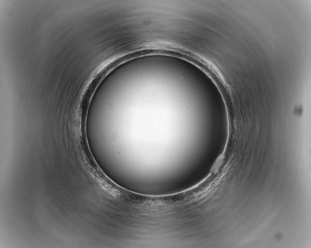 X0000099420931200805161042