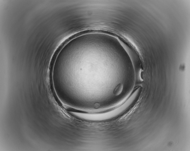 X0000099420932200805161042