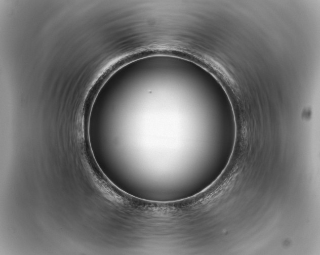X0000099420934200805161042