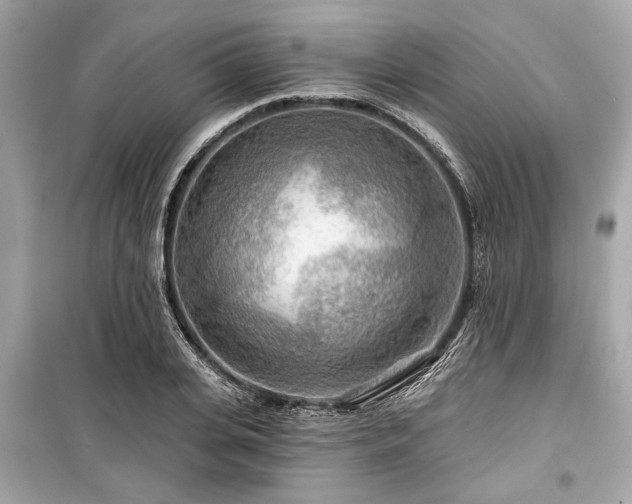 X0000099420935200805161042