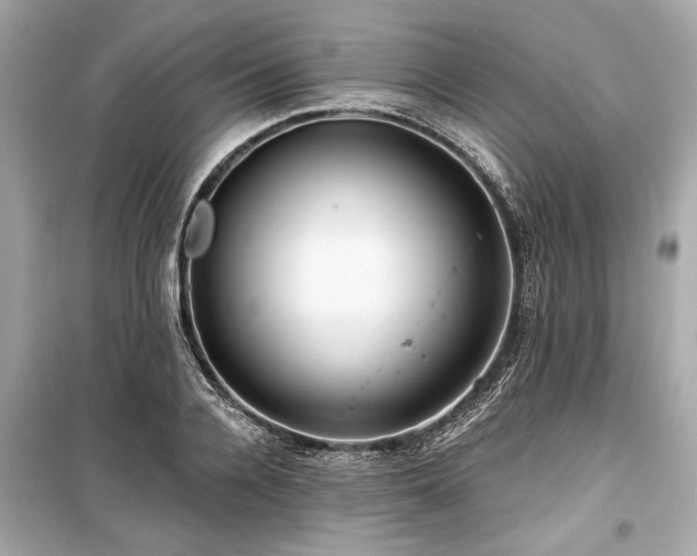 X0000099420936200805161042