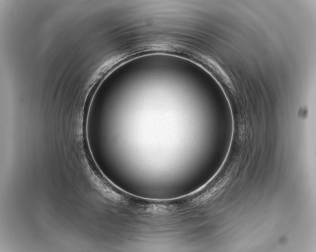 X0000099420938200805161042