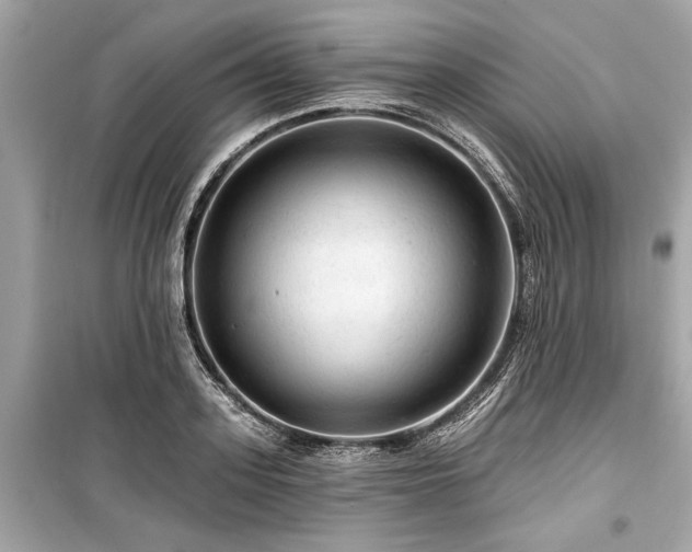 X0000099420939200805161042