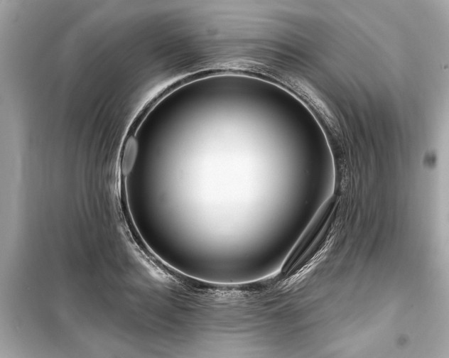 X0000099420940200805161042