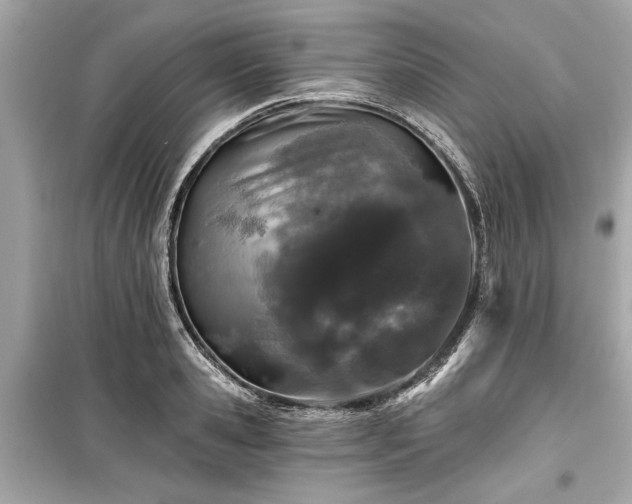 X0000099420941200805161042