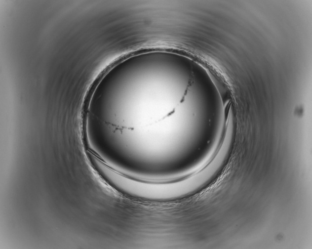 X0000099420942200805161042